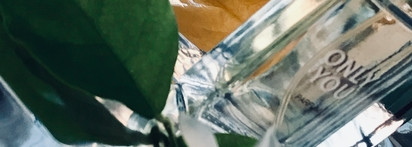 Новая Заря Only You не клон и не дубль Byredo Bal D’Afrique