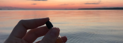 Chanel Les Exclusifs De Chanel Beige: аромат успешной женщины