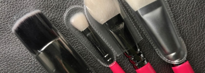 Набор базовых кистей косметичке Zoeva Pink Elements Classic Set: коза и синтетика