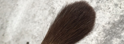 Лучше японских кистей могут быть только японские кисти. Любимые пушистики Shiseido