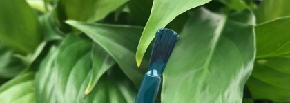 Когда нужно быстро и красиво: лак для ногтей Elian Gel Effect Nail Lacquer 802 Siberian Elm