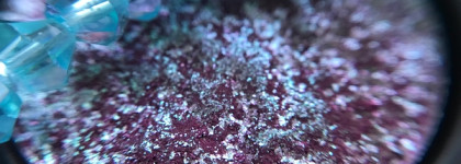 Северное сияние: спаркл Bernovich Sparkle #13. С него стоит начать знакомство с Бернович