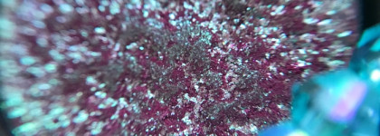 Северное сияние: спаркл Bernovich Sparkle #13. С него стоит начать знакомство с Бернович