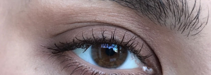 Тени или скульптор? Bourjois Ombre A Paupieres Shadow 05 Choco Latte