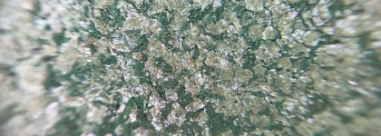 Новинка от Bernovich спаркл-мультихром #70: голубой или зелёный? А может, розовый?