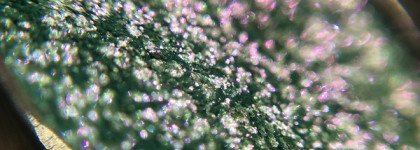 Новинка от Bernovich спаркл-мультихром #70: голубой или зелёный? А может, розовый?