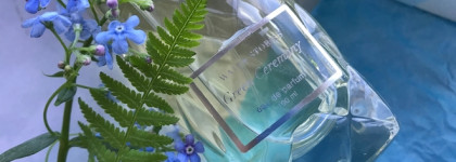 Масс-маркет удивляет: 7 интересных бюджетных ароматов не дороже 1500 ₽ в 2023