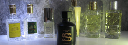 Масс-маркет удивляет: 7 интересных бюджетных ароматов не дороже 1500 ₽ в 2023