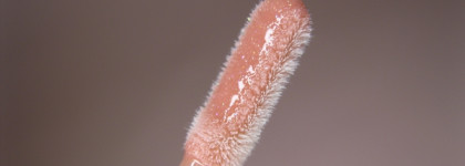 Пыльно-розовый Luxvisage Icon Lips Glossy Volume 503 - лучший блеск за 200₽?