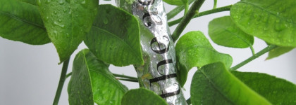 Как я отрастила ногти: масло для ногтей и кутикулы The Act Express Recovery Nail & Cuticle Oil