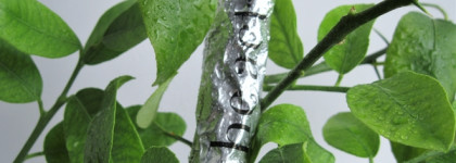 Как я отрастила ногти: масло для ногтей и кутикулы The Act Express Recovery Nail & Cuticle Oil