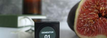 Очередная чёрная помада? Бальзам Beauty Bomb One Dead Poet Dark Academia Lip Balm 01 Dementor