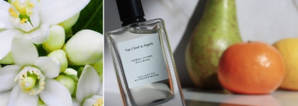 Van Cleef & Arpels Neroli Amara EDP как ежедневный аналог Ex Nihilo Fleur Narcotique