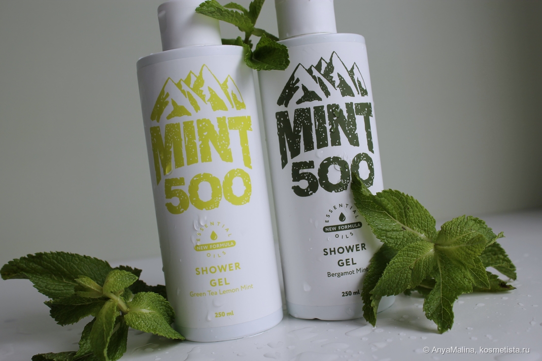 Fame Brands Cosmetics Mint500 Shower Gel