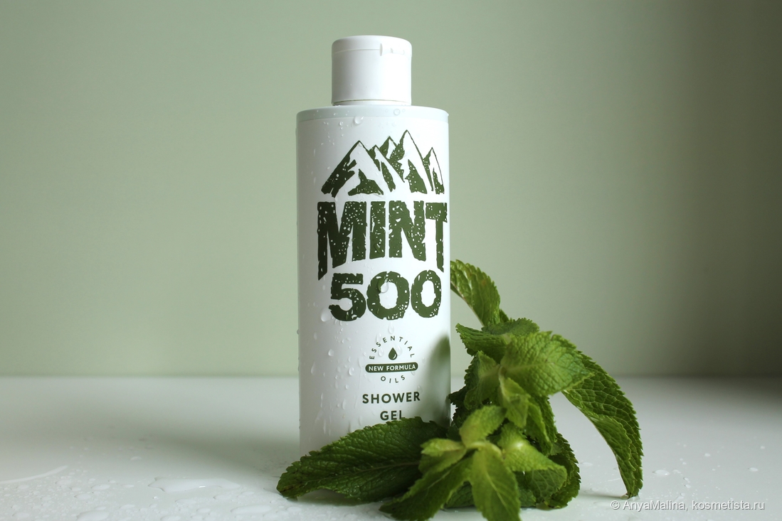 Fame Brands Cosmetics Mint500 Shower Gel Bergamot Mint