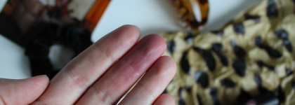 А где тут 90-ые? Муссовая помада Beauty Bomb Te3s Тон 03 Money Maker коллекция Hooliguns