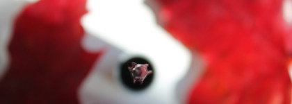 Бордовая тушь, за которой я гонялась Rad All That Juice Mascara 001 Oxblood: почему можно простить недостатки