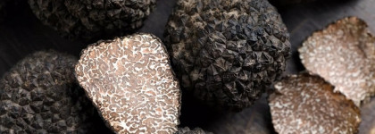 Жидкая матовая нюдовая помада Shik Soft Matte Lipstick 12 Truffle: обзор и свотчи