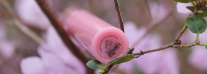 Почему в отпуск только с корейским блеском Rom&nd Glasting Color Gloss 01 Peony Ballet? Лучше, чем свои губы