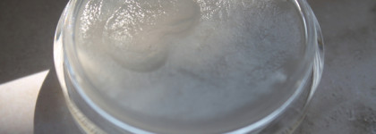 Легенда в шайбе: гель или воск для бровей Anastasia Beverly Hills Brow Freeze, который я не поняла