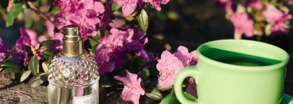 Лучший лёгкий аромат на лето: Guerlain Aqua Allegoria Mandarine Basilic EDT