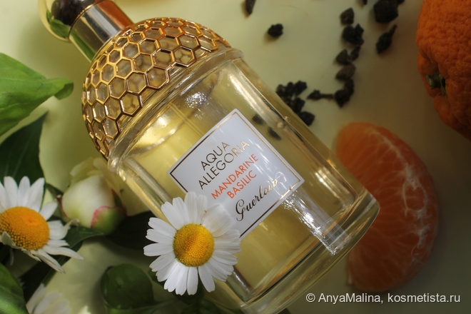 Лучший лёгкий аромат на лето: Guerlain Aqua Allegoria Mandarine Basilic EDT