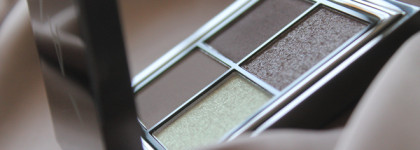 Тени лучше, чем Том Форд: коммерческий нюд и смоки AnnBeauty Your Vision Palette 002 For Him Evo