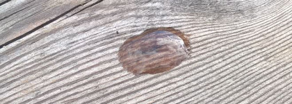 Тоник для лица It’s skin Hyaluronic Acid Toner