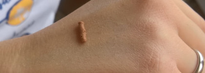 Разглаживающий мусс-тинт для лица из лимитированной коллекции Catrice Blurred Lines