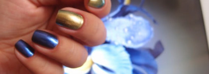 Под кодовым названием «ирис»