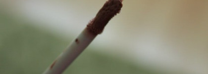 Разочарование в любимой марке. Блеск Yves Rocher Retropical Gloss Peche Melba
