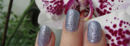 Мой зимний любимчик - Golden Rose Holiday Nail Color №55