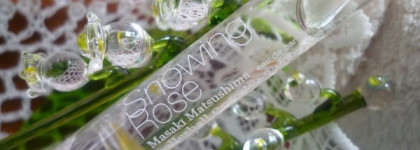 Snowing Rose от Masaki Matsushima - морозная роза и два моря