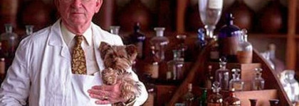 Изысканные и странные Pamplelune Aqua Allegoria от Guerlain