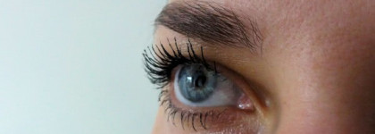 Тушь для ресниц тройного действия Shiseido Perfect Mascara Full Definition BК 901