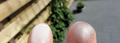 Estee Lauder EyeShadow Duo Pure Color №11 Shells