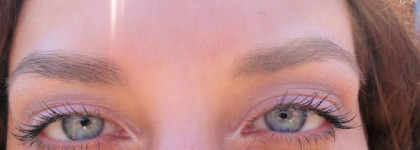 Estee Lauder EyeShadow Duo Pure Color №11 Shells