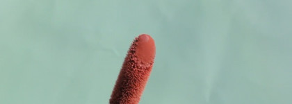 Shiseido Lacquer Rouge RD 203, Portrait