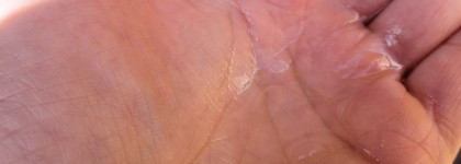 Очищение c Kanebo Sensai