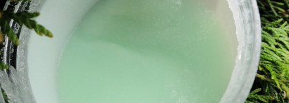 Цитрус и хвоя - чтобы быстрей проснуться с утра