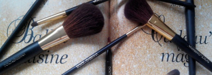 Мои кисти Dolce & Gabbana