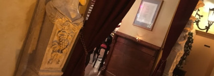 Голландские хроники: "Beauty: go natural!" Натуральная косметика, осознанный выбор, гармония с природой и защита прав человека