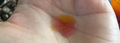 Заряд бодрости для кожи Annemarie Börlind Orange Blossom Energizer