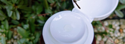 Продолжая знакомство с Whamisa: очищающая вода и дневной крем