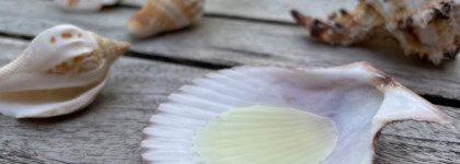 Одобрено океаном - SVR Huile Sun Secure SPF 50