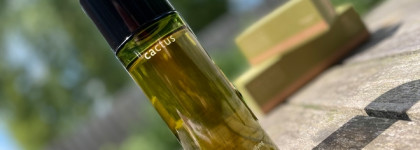 Увлажнение с Whamisa Cactus