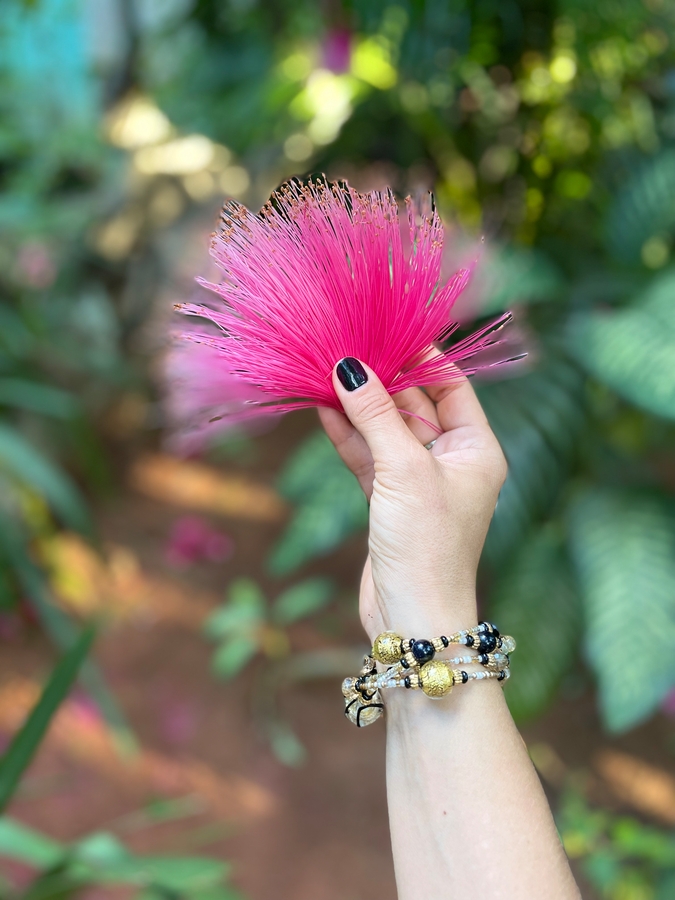 псевдобомбакс эллиптический или pink shaving brush tree