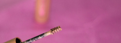 Тестируем хиты или провалы от бренда Rimmel