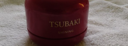 Мой уход за волосами: Ducray, Schiseido Tsubaki, Klorane, Кора, Lush, Brelil, Yves Rocher, Чистая Линия, Natura Siberica, Lipocomplex