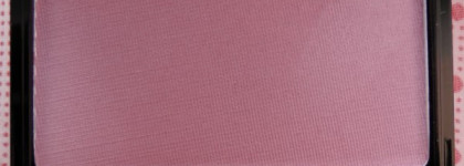 Обзор румян Shiseido Luminizing Satin Face Color PK 304 и помады Chanel Rouge Allure Luminous Intense Lipstick 88 Evanescente